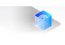Biometric Smart Card 